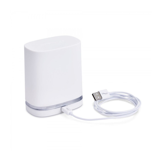 Дорожній футляр і кабель для зарядки Charger & Travel Case w/USB Cable for Chorus by We-Vibe