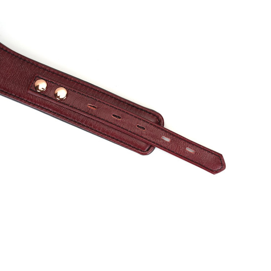 Шкіряний нашийник з повідцем і замком-сердечком, червоний Liebe Seele Wine Red Curved Collar