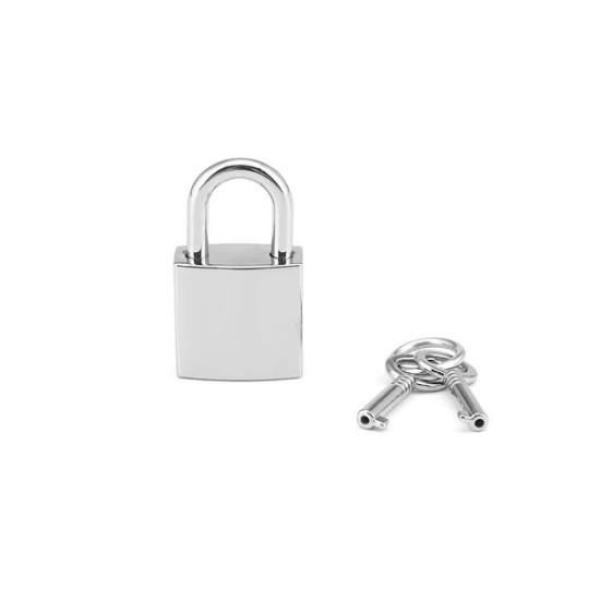 Стандартный замочек для кейса с секс-игрушками, серебристый Liebe Seele Regular Padlock Silver (2 шт)