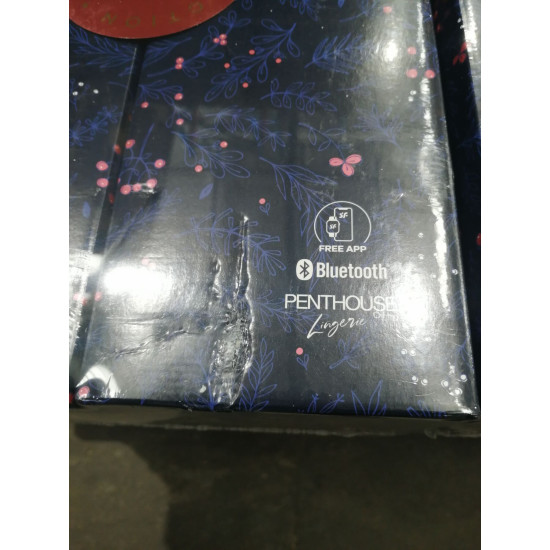 Подарочный набор Satisfyer Premium Advent Calendar 2024 (мятая упаковка!!!)