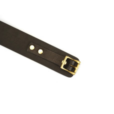 Нашийник з повідком Liebe Seele Samurai Collar and Leash