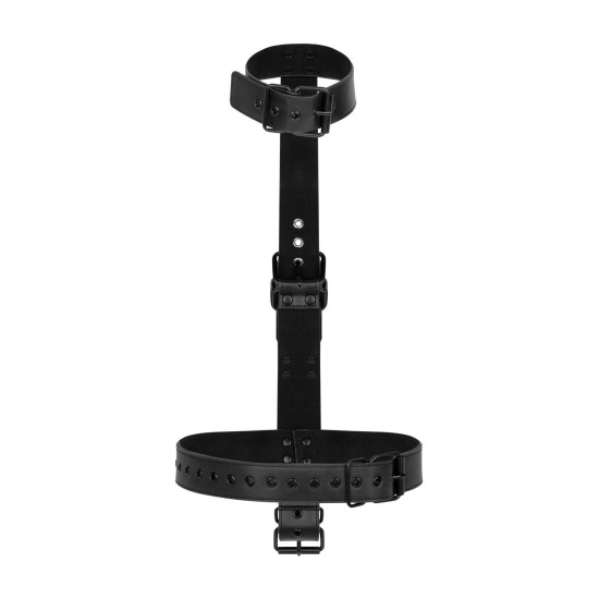 Комплект фиксации для рук и шеи, Bedroom Fantasies Seductive Straps Body Restraint Set