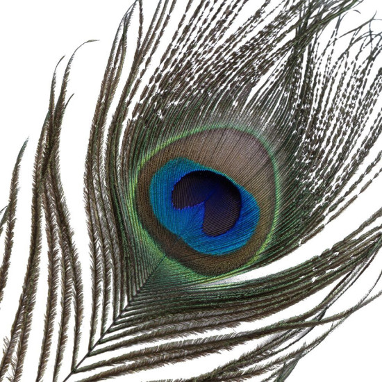 Щекоталка с пером павлина Lockink Sevanda Natural Peacock Flirting Feather Tickler