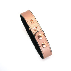 Ошейник с зажимами для сосков из кожи Liebe Seele Rose Gold Memory Collar with Nipple Clamps