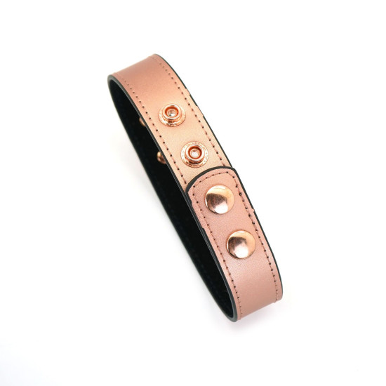 Нашийник із затискачами для сосків зі шкіри Liebe Seele Rose Gold Memory Collar with Nipple Clamps