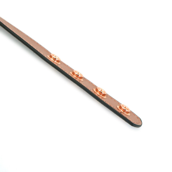 Нашийник із затискачами для сосків зі шкіри Liebe Seele Rose Gold Memory Collar with Nipple Clamps