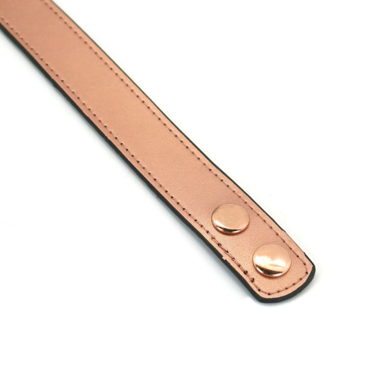 Нашийник із затискачами для сосків зі шкіри Liebe Seele Rose Gold Memory Collar with Nipple Clamps