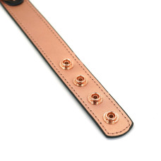 Ошейник с зажимами для сосков из кожи Liebe Seele Rose Gold Memory Collar with Nipple Clamps