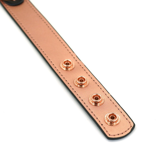 Нашийник із затискачами для сосків зі шкіри Liebe Seele Rose Gold Memory Collar with Nipple Clamps