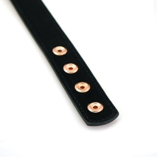 Нашийник із затискачами для сосків зі шкіри Liebe Seele Rose Gold Memory Collar with Nipple Clamps