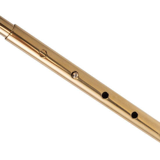 Анальний гак, золотистий Lockink Golden Adjustable Anal Hook Set