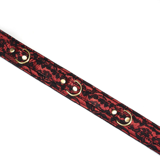 Нашийник із повідцем Liebe Seele Victorian Garden Collar with Leash